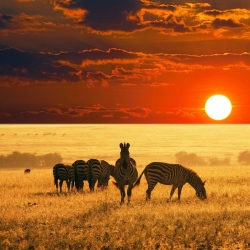 Namibia
