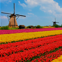 Holanda