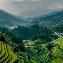 Laos